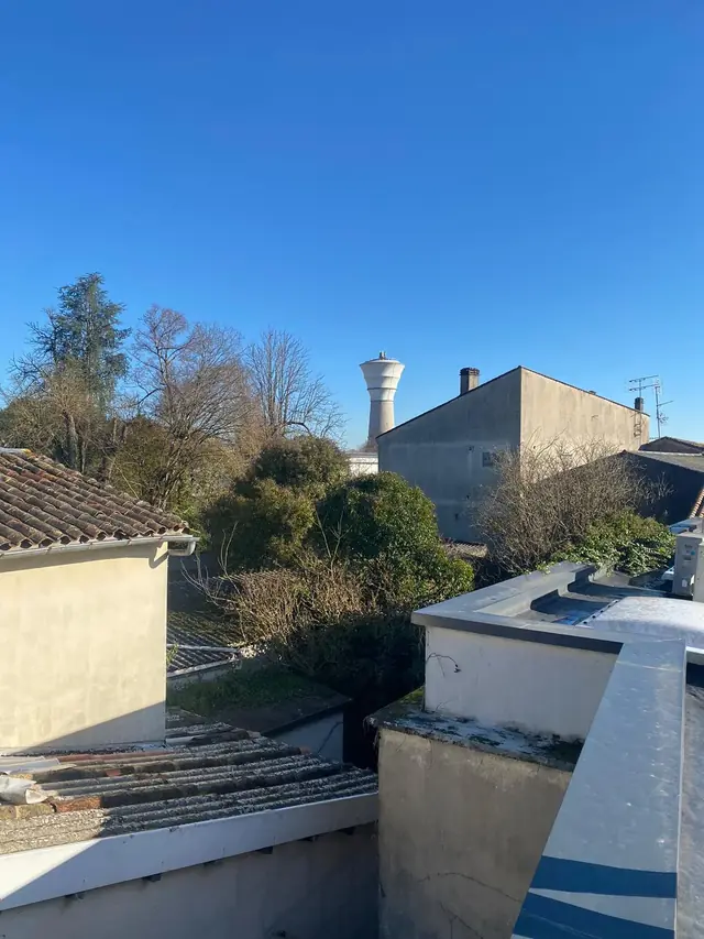12-12 — image 24