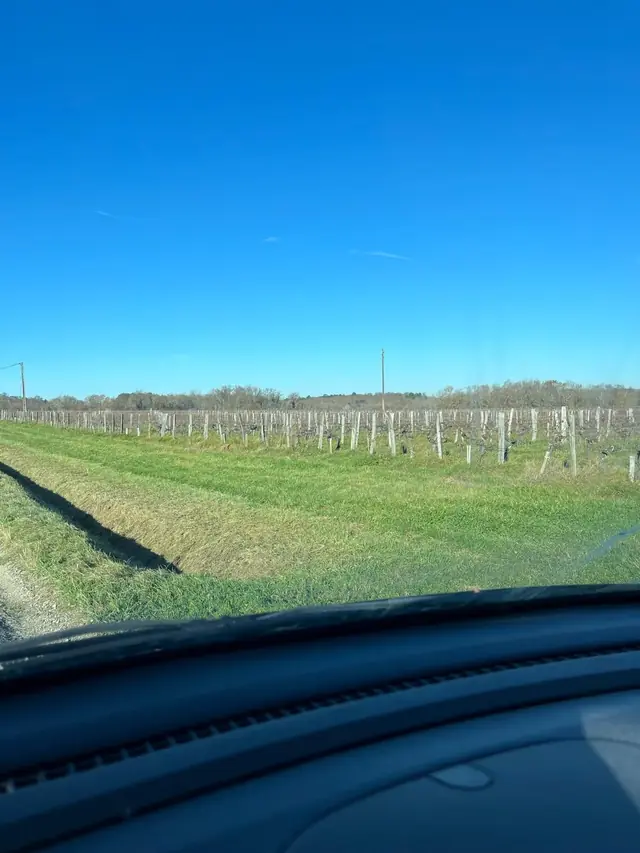 12-12 — image 33