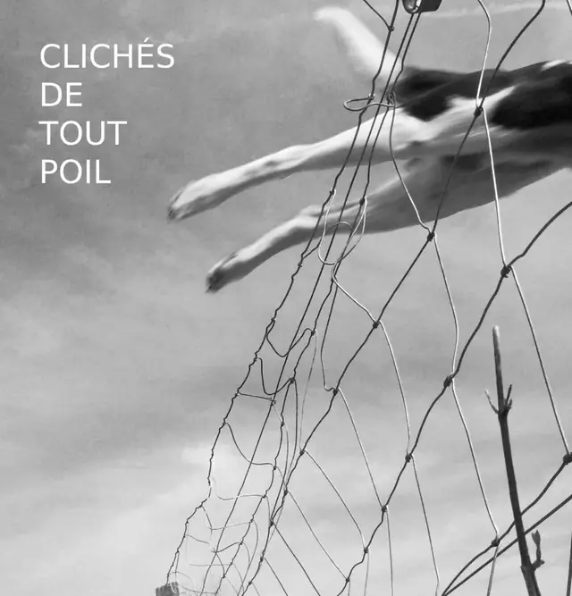 Clichés de tout poil — image 1