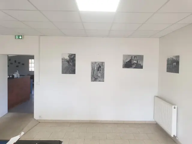 Clichés de tout poil — in situ — image 7