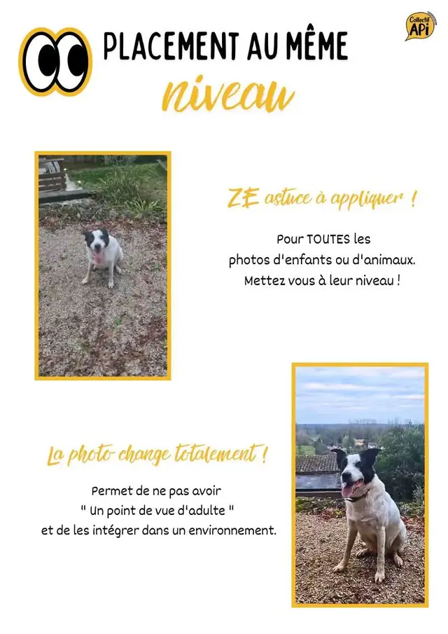 Cours photo au smartphone — image 21