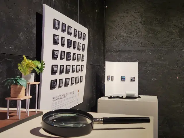 Festival photo de Coutras 2025 — image 16