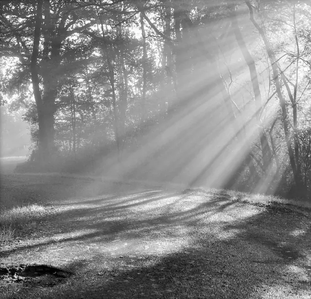 Regards sur Coutras — image 5