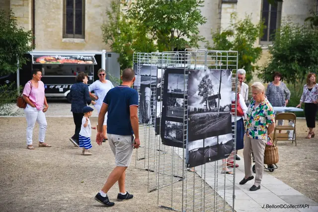 Regards sur Coutras — in situ — image 4