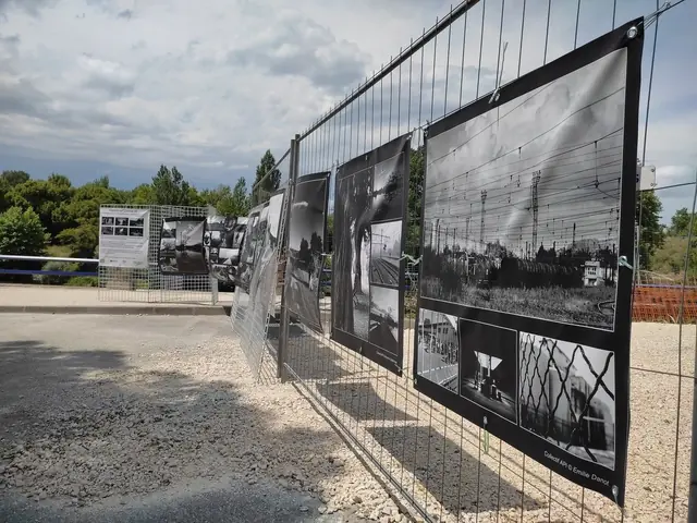 Regards sur Coutras — in situ — image 5