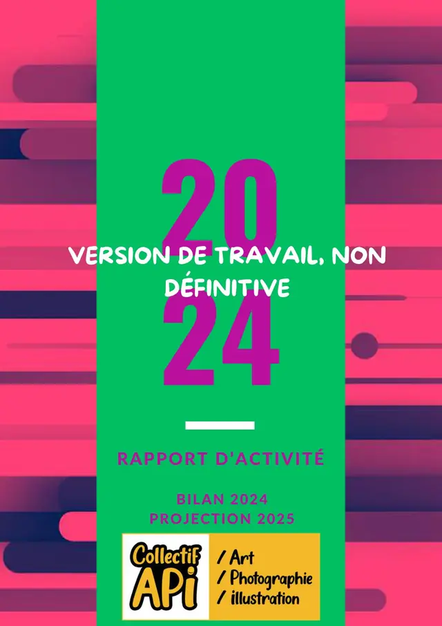 Couverture du rapport d'activité 2024 du Collectif API